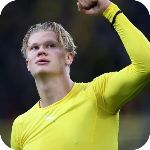 Эмодзи Erling Haaland