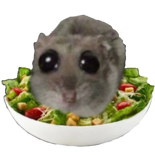 Эмодзи Грустный хомяк