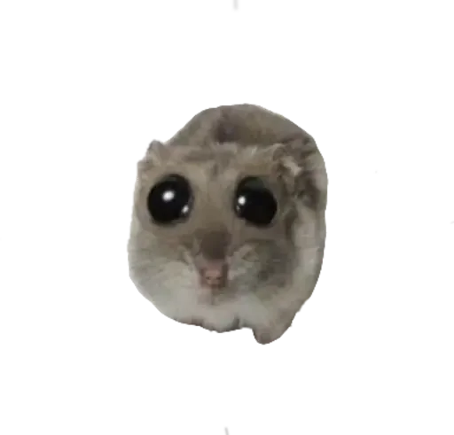 Эмодзи sad hamster