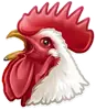 🐔