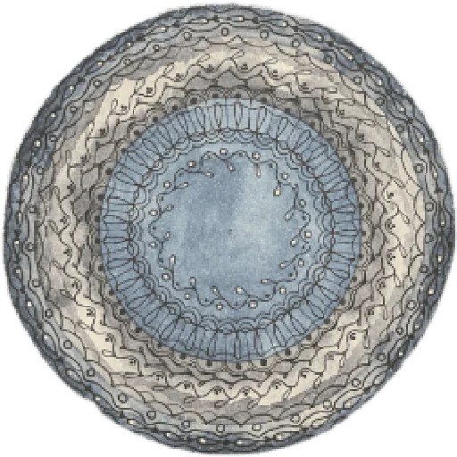 Эмодзи Horoscope