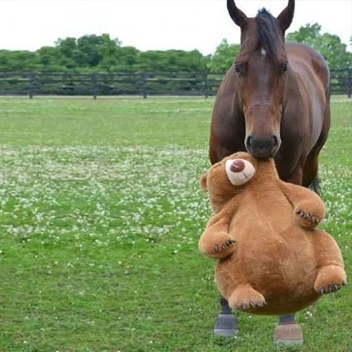 Эмодзи Horses