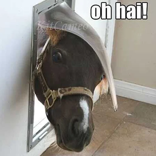 Эмодзи Horses