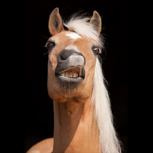 Эмодзи Horses
