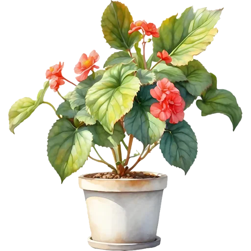 Эмодзи House Plants