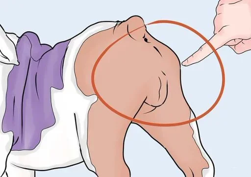Эмодзи How i can do This