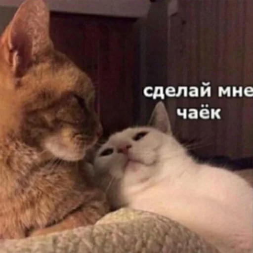 Эмодзи Animals | Животные