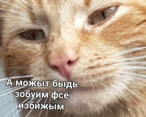 Эмодзи Animals | Животные