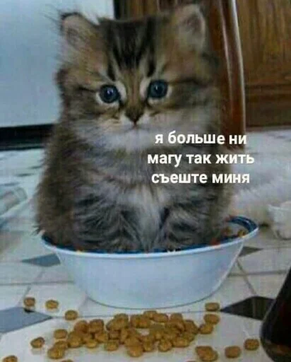 Эмодзи Animals | Животные