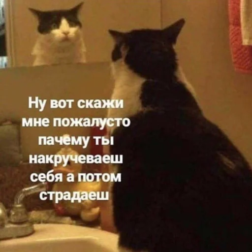 Эмодзи Animals | Животные