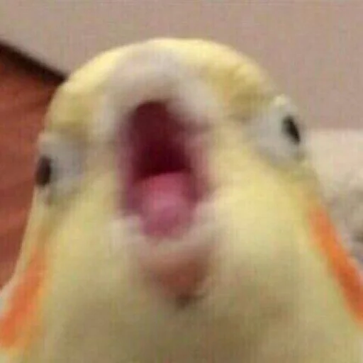 Эмодзи Animals | Животные