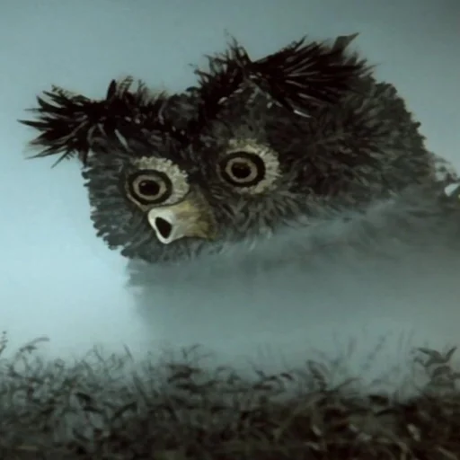 Эмодзи Ёжик в тумане