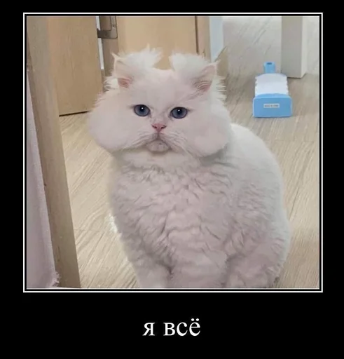 Эмодзи мс пох