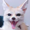 Эмодзи Im Fennec