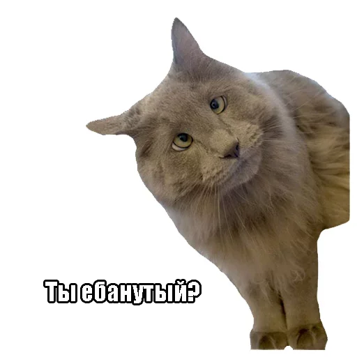 Эмодзи Imagine Dragons