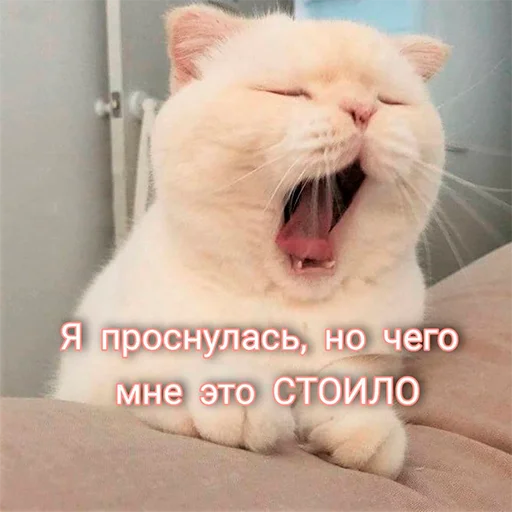 Эмодзи На случай важных переговоров