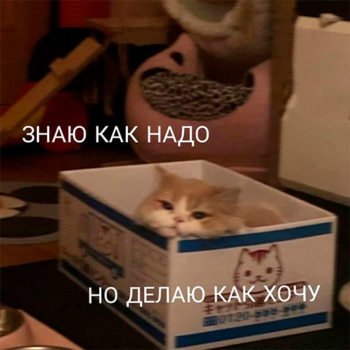 Эмодзи На случай важных переговоров