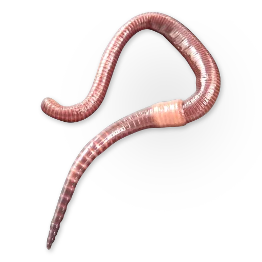 Эмодзи Insects