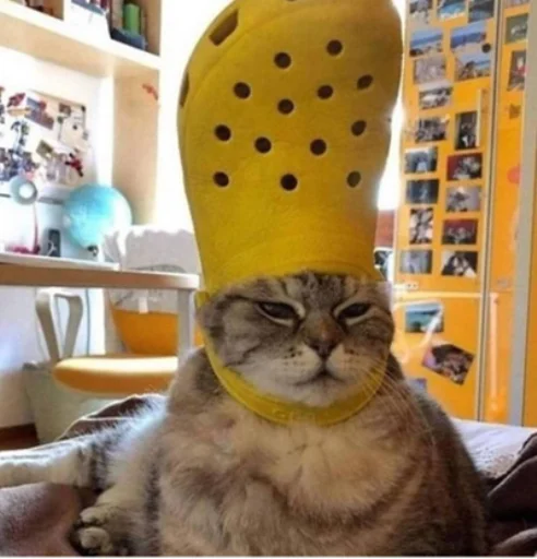 Эмодзи IpCatMeme