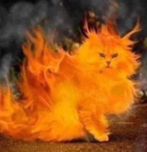 Эмодзи IpCatMeme