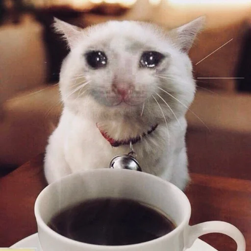 Эмодзи Sad Cat