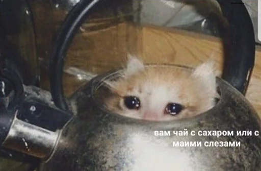 Эмодзи Sad Cat