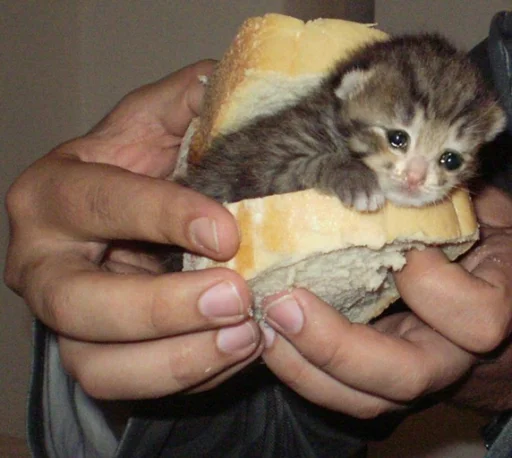 Эмодзи Sad Cat