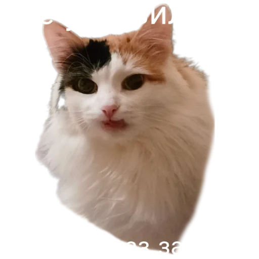 Эмодзи Иринарх