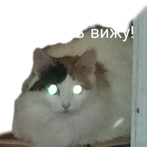 Эмодзи Иринарх