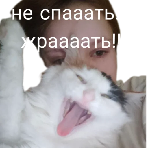 Эмодзи Иринарх