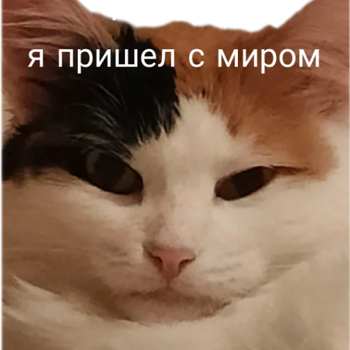Эмодзи Иринарх