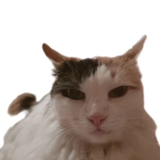 Эмодзи Иринарх
