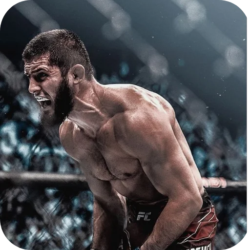 Эмодзи Islam Makhachev