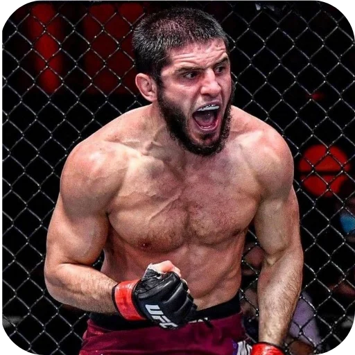 Эмодзи Islam Makhachev