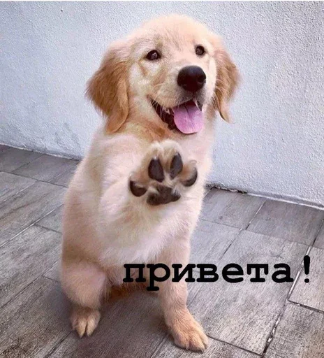?