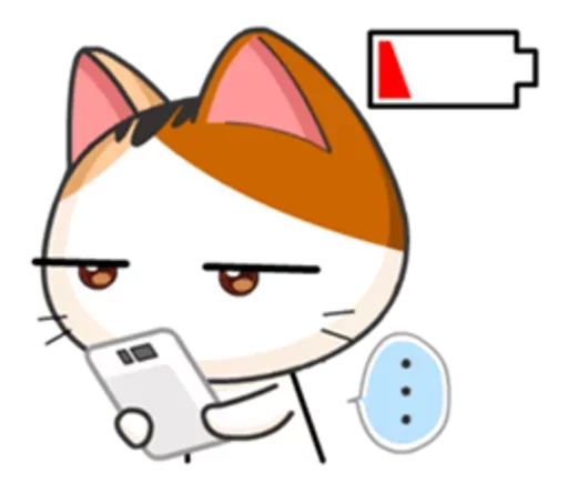 🐱