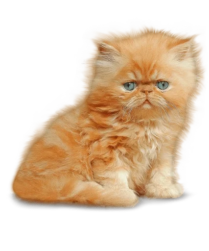 Эмодзи Cats 2