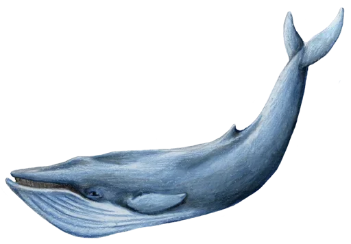 Эмодзи Jellyfish