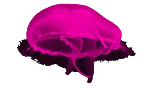 Эмодзи Jellyfish