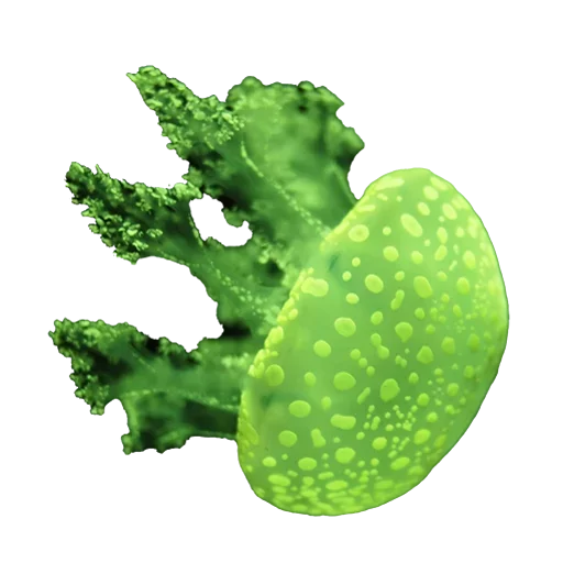 Эмодзи Jellyfish