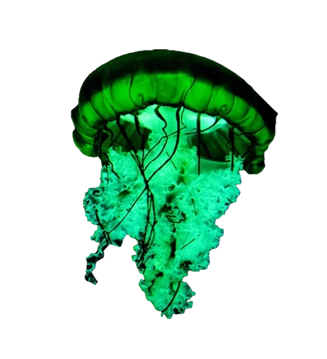 Эмодзи Jellyfish