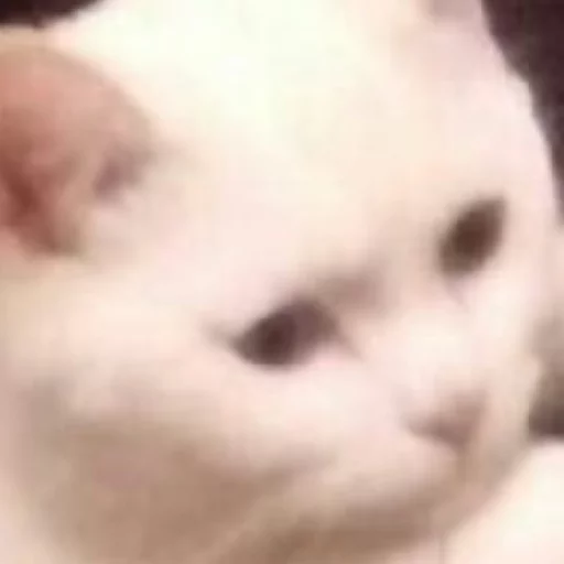 Эмодзи JiBotnbie (животные)