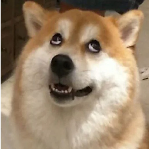 Эмодзи JiBotnbie (животные)