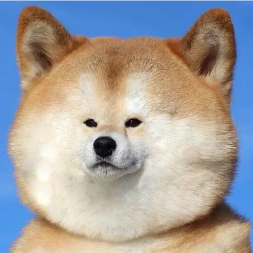 Эмодзи JiBotnbie (животные)