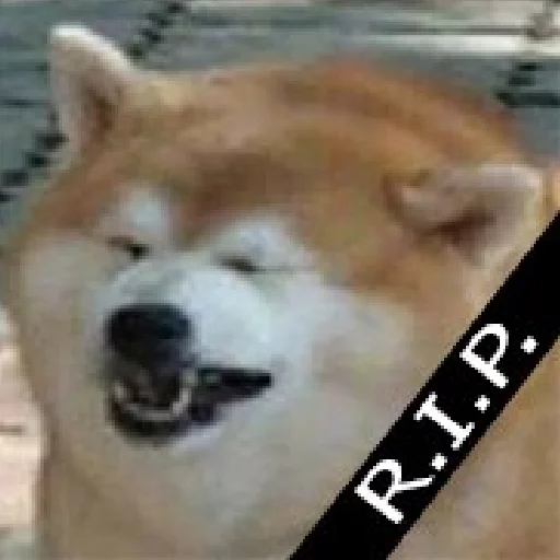 Эмодзи JiBotnbie (животные)