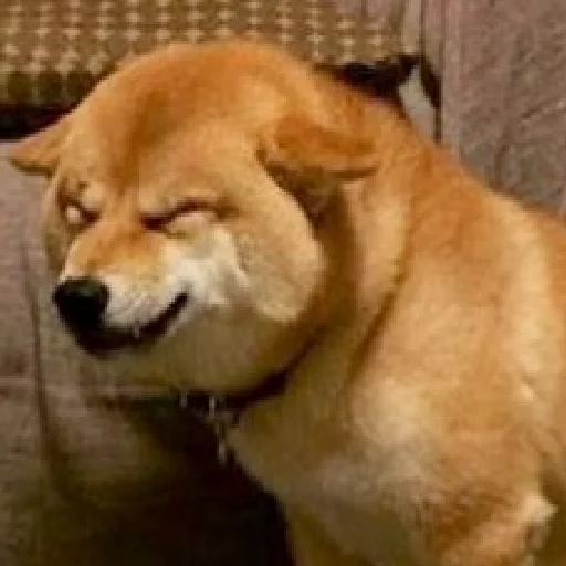 Эмодзи JiBotnbie (животные)