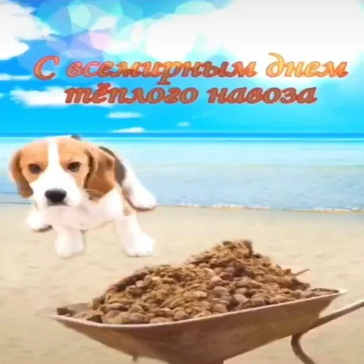 Эмодзи С днем говна