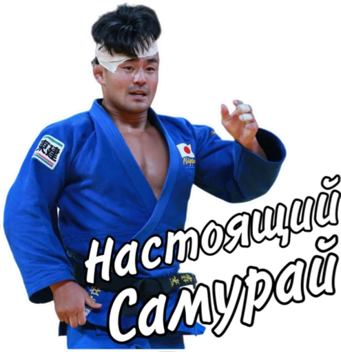 Эмодзи Дзюдо Арт