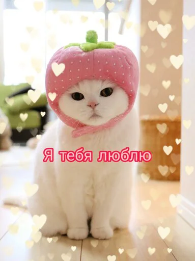 Эмодзи Няшные Пикчи