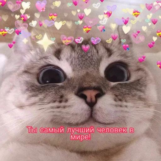 Эмодзи Няшные Пикчи